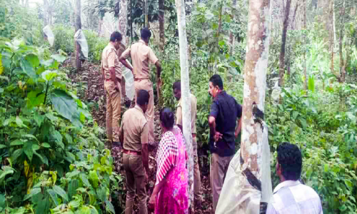 ജനവാസമേഖലയില് പുലിയിറങ്ങി ജനവാസമേഖലയില് പുലിയിറങ്ങി