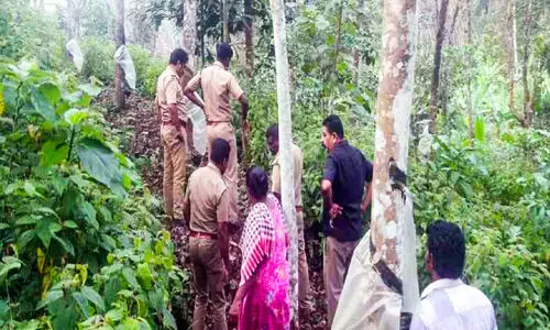 ജനവാസമേഖലയില്‍ പുലിയിറങ്ങി