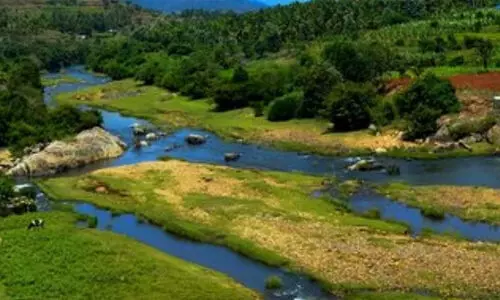 ഗർഭിണിയെ തുണിയിൽ കെട്ടിച്ചുമന്ന് ആശുപത്രിയിലെത്തിച്ചെന്ന വാർത്ത വസ്തുതാവിരുദ്ധമെന്ന് കെ.രാധാകൃഷ്ണൻ