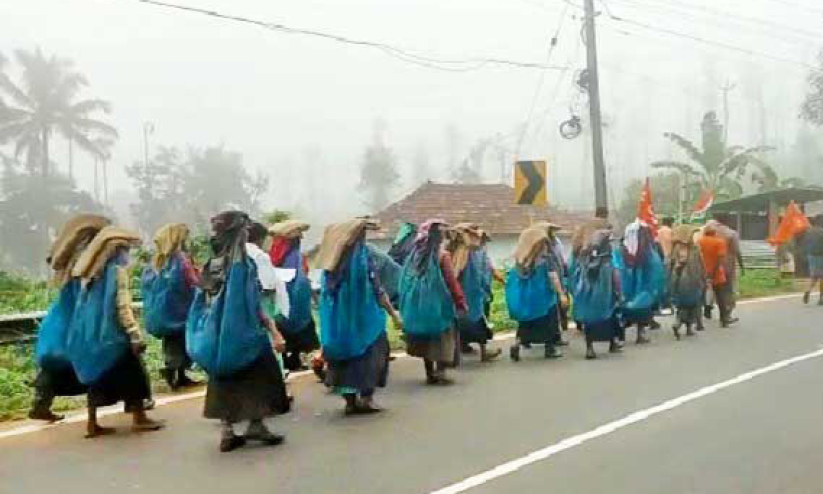 പ്രതിഷേധം ഫലം കണ്ടു; കോട്ടനാട് പ്ലാന്‍റേഷൻ തൊഴിലാളികൾക്ക് 13 ശതമാനം ബോണസ് നൽകും
