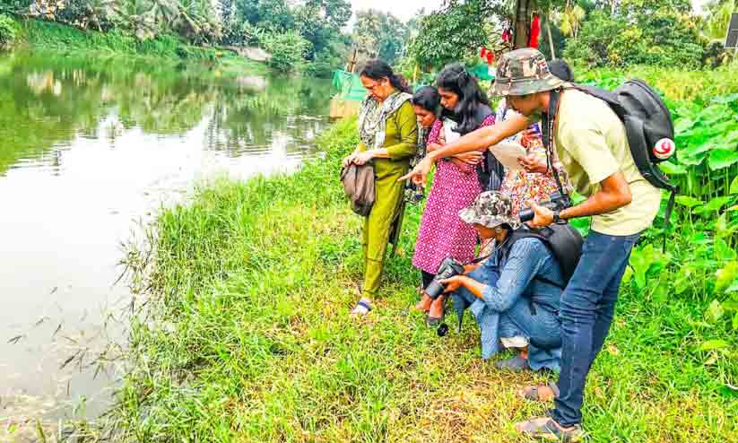മീ​ന​ച്ചി​ലാ​റ്റി​ൽ എ​ണ്ണ​ക്ക​റു​പ്പ​നും ചേ​രാ​ച്ചി​റ​ക​നു​മ​ട​ക്കം 45 ഇ​നം തു​മ്പി​ക​ൾ