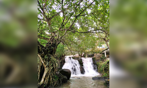 സഞ്ചാരികളെ ആകർഷിച്ച് മീൻമുട്ടി വെള്ളച്ചാട്ടം