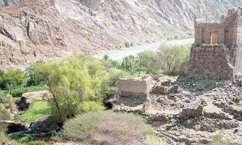 സന്ദർശകർക്ക് ആകർഷണമായി അൽ നാസൂ ഗ്രാമത്തിന്റെ പൗരാണികത സന്ദർശകർക്ക് ആകർഷണമായി അൽ നാസൂ ഗ്രാമത്തിന്റെ പൗരാണികത