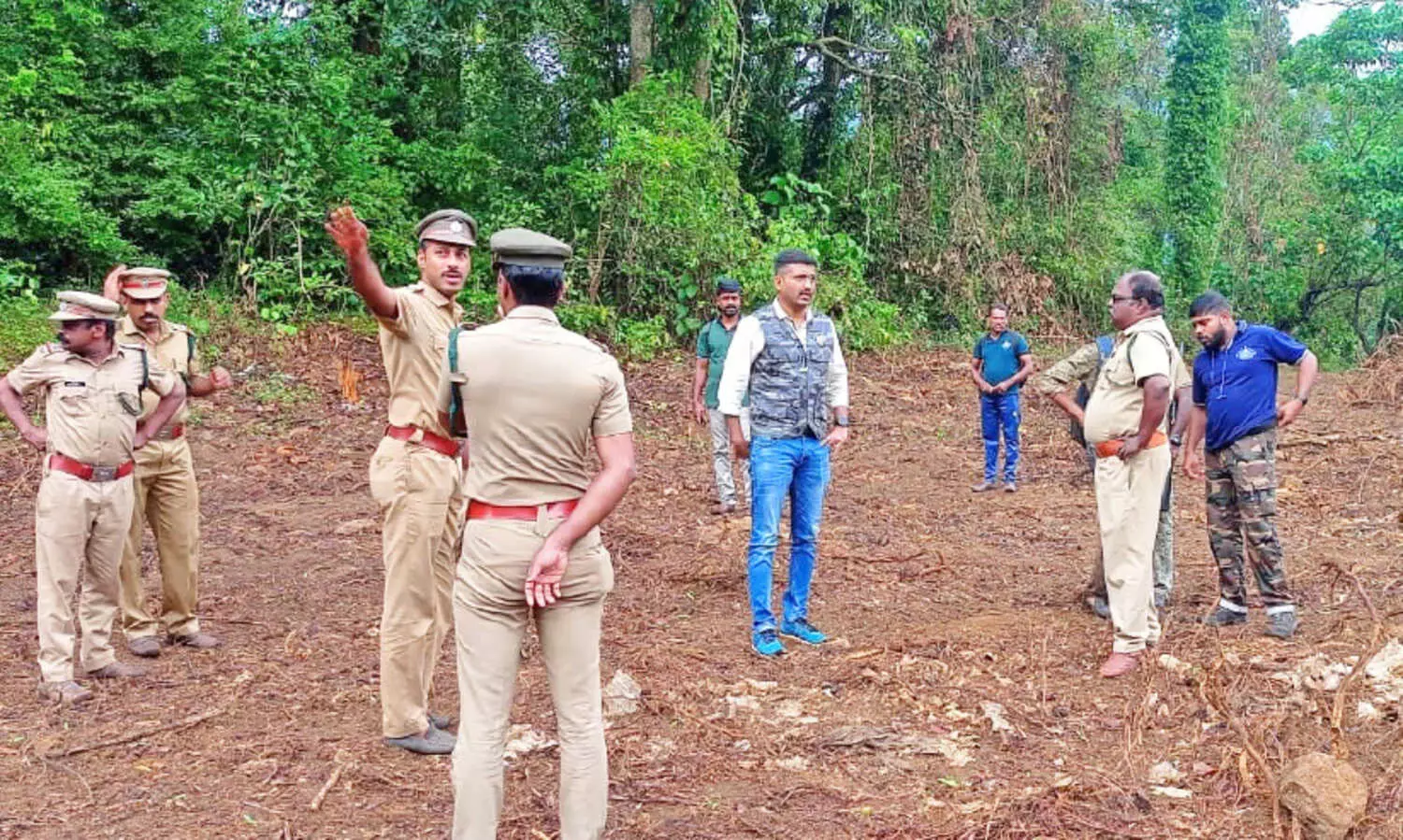 കടുവപ്പേടിയിൽ ആറളം; നിരീക്ഷണം ശക്തമാക്കി വനംവകുപ്പ്