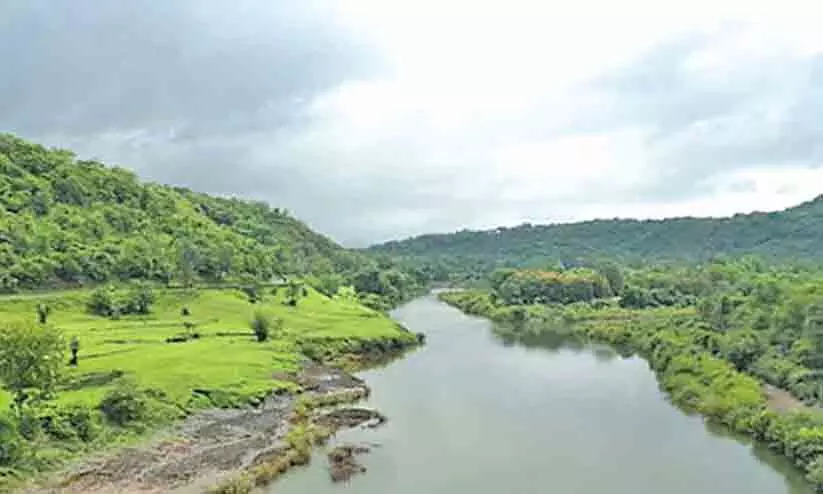 പെന്നൈയാർ നദീജല തർക്കം ട്രൈബ്യൂണൽ രൂപവത്കരിക്കില്ലെന്ന് കേന്ദ്രം പെന്നൈയാർ നദീജല തർക്കം ട്രൈബ്യൂണൽ രൂപവത്കരിക്കില്ലെന്ന് കേന്ദ്രം