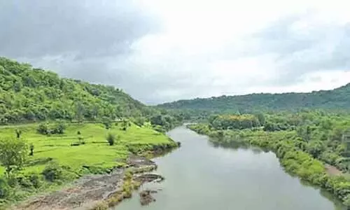 പെന്നൈയാർ നദീജല തർക്കം ട്രൈബ്യൂണൽ രൂപവത്കരിക്കില്ലെന്ന് കേന്ദ്രം