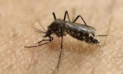 zika