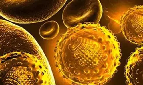 തിരൂരങ്ങാടി മേഖലയിൽ മഞ്ഞപ്പിത്തം പടരുന്നു