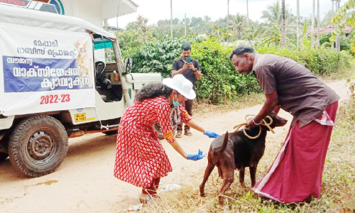 വ​ള​ർ​ത്തു​നാ​യ്ക്ക​ൾ​ക്കു​ള്ള പ്ര​തി​രോ​ധ കു​ത്തി​വെ​പ്പ്