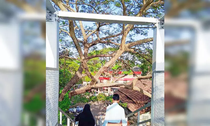 തലക്കുമീതെ ഭീഷണിയായി മരച്ചില്ലകൾ