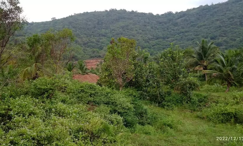 ബഫർ സോൺ: ജനങ്ങൾക്ക് ആക്ഷേപം അറിയിക്കുന്നതിനുള്ള സമയം നീട്ടണമെന്ന് കിഫ ബഫർ സോൺ: ജനങ്ങൾക്ക് ആക്ഷേപം അറിയിക്കുന്നതിനുള്ള സമയം നീട്ടണമെന്ന് കിഫ