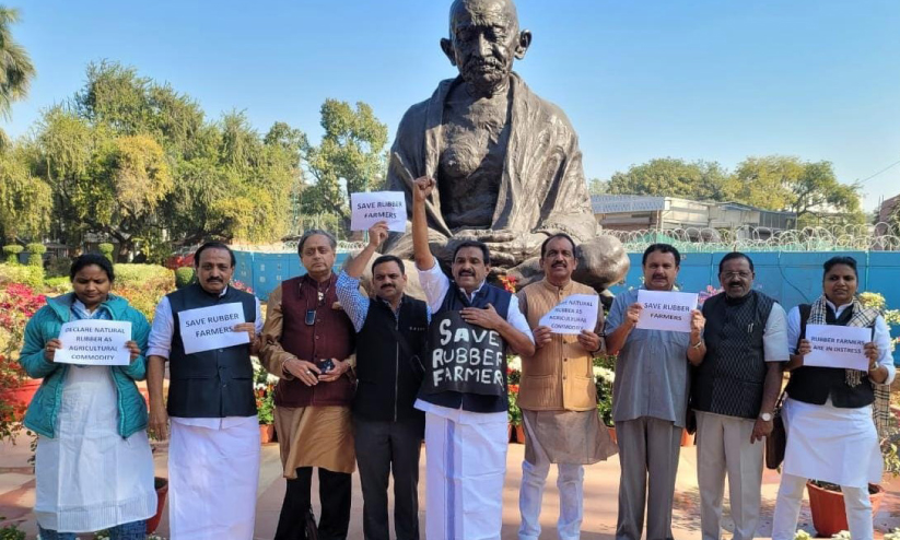 റബർ ഷീറ്റുമായി എം.പിമാർ ഗാന്ധി പ്രതിമക്കു മുന്നിൽ റബർ ഷീറ്റുമായി എം.പിമാർ ഗാന്ധി പ്രതിമക്കു മുന്നിൽ