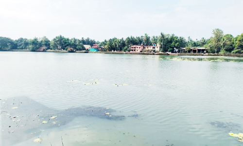 ചിറക്കൽ ചിറ ഇനി ചിരിതൂകും