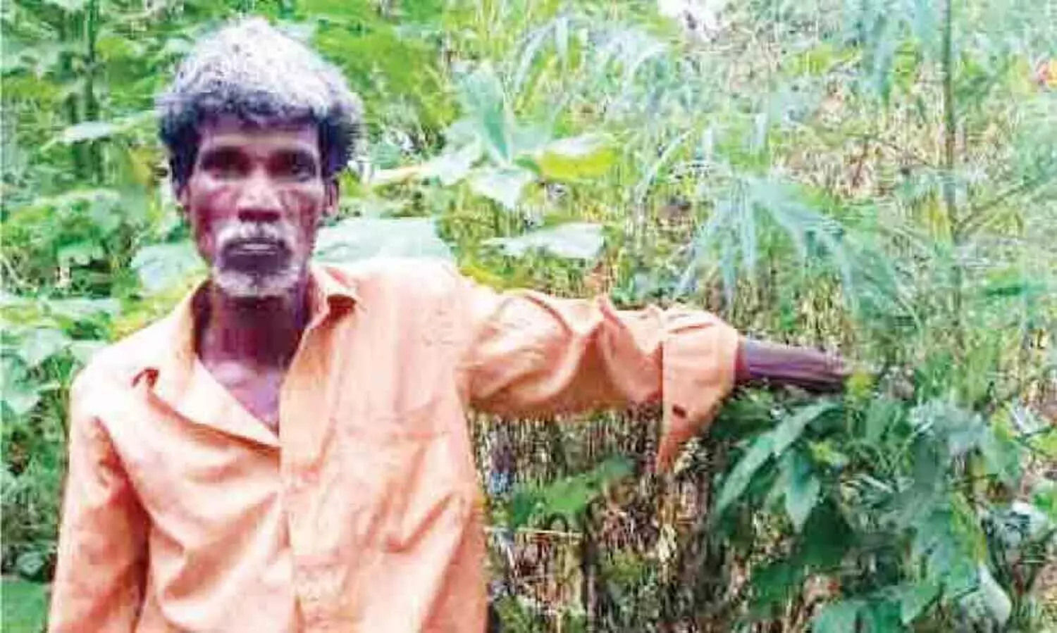 വീട്ടുവളപ്പിൽ കഞ്ചാവ് ചെടി; മധ്യവയസ്‌കൻ അറസ്റ്റിൽ