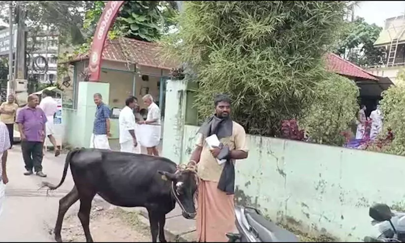മാലിന്യം തോട്ടിൽ തള്ളുന്ന കമ്പനിക്കെതിരെ നടപടിയെടുക്കുന്നില്ലെന്ന്; പൊലീസ് സ്റ്റേഷന് മുന്നിൽ പശുവുമയെത്തി ക്ഷീരകർഷകൻ