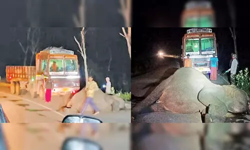 ബന്ദിപ്പൂർ വനപാതയിൽ ചരക്കുലോറിയിടിച്ച് കാട്ടാന ചെരിഞ്ഞു