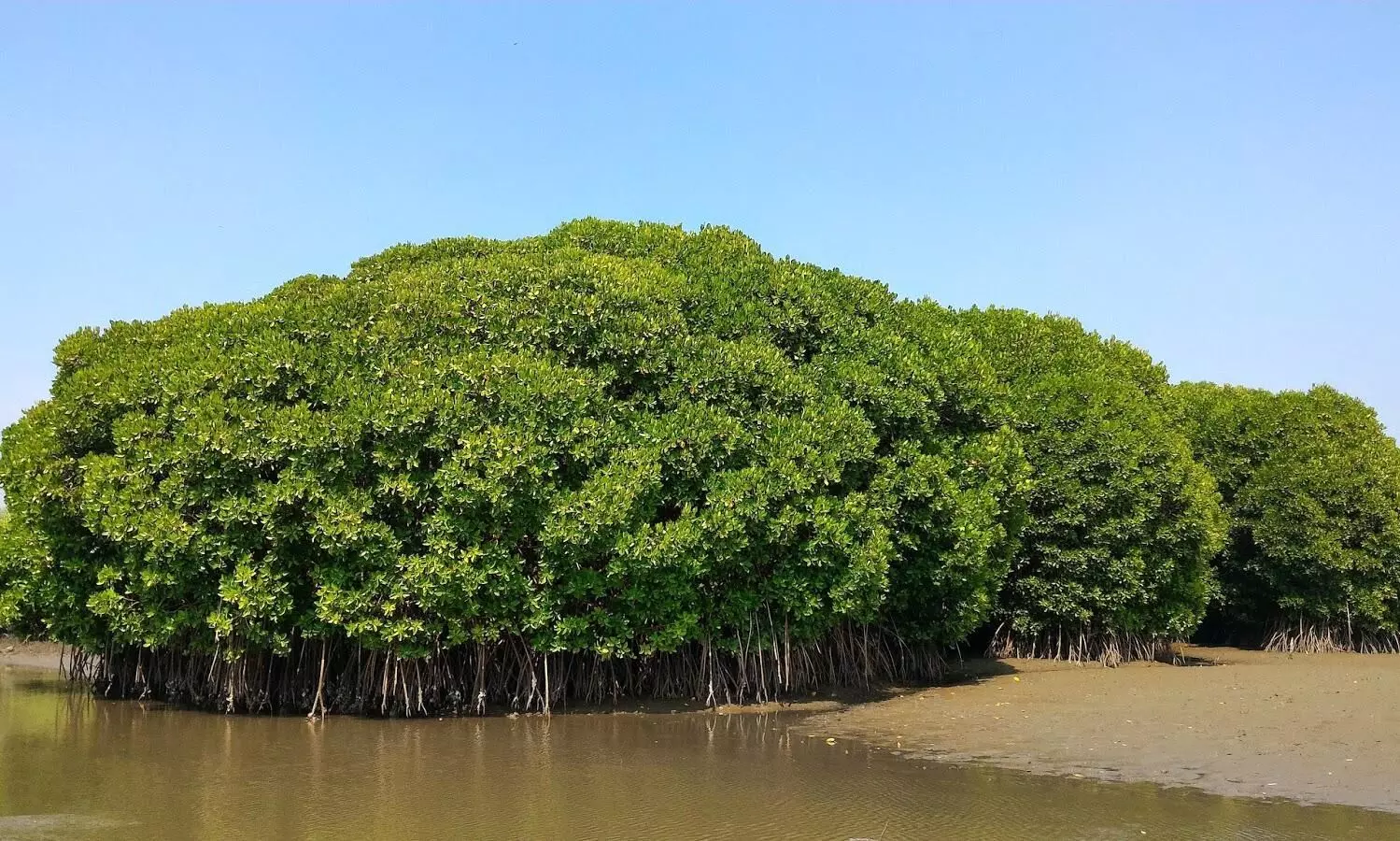 Kadalundy Community Reserve Kadalundy Community Reserve