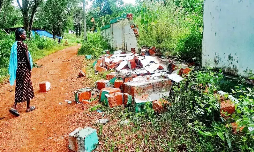 Elephant Attck Elephant Attck