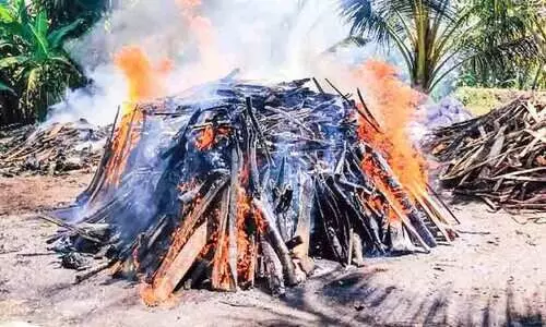 പക്ഷിപ്പനി: 4000 താറാവുകളെ സംസ്കരിച്ചു