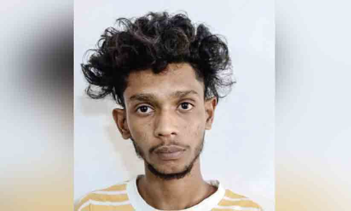 വീട്ടിൽ കഞ്ചാവ് ചെടി വളർത്തിയ യുവാവ് അറസ്‌റ്റിൽ