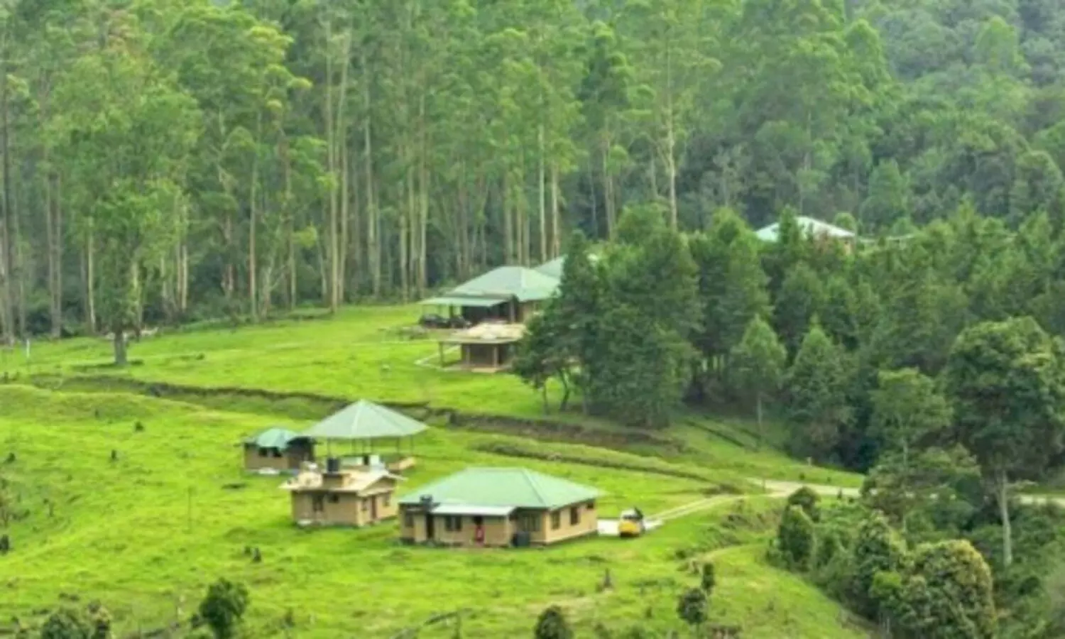 ബഫർ സോൺ: വിവരങ്ങൾ ജനങ്ങളുടെ ശ്രദ്ധയിൽപെടും വിധം പ്രദർശിപ്പിക്കണമെന്ന് നിർദേശം