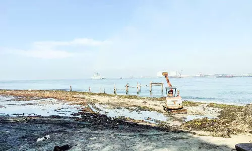 മാ​ലി​ന്യം നി​റ​ഞ്ഞ ഫോ​ർ​ട്ട്​​കൊ​ച്ചി ക​ട​പ്പു​റം