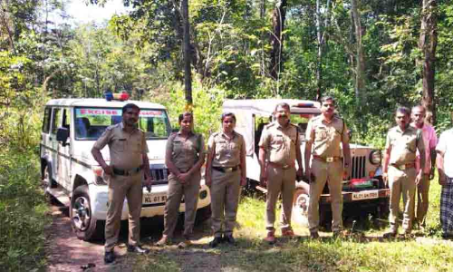 അനധികൃത മദ്യനിർമാണം: വനം-എക്‌സൈസ് സംയുക്ത പരിശോധന