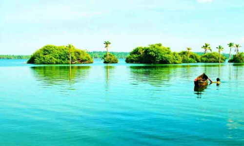 സാമ്പ്രാണിക്കോടിയിലേക്ക് വരാം; 23 മുതൽ