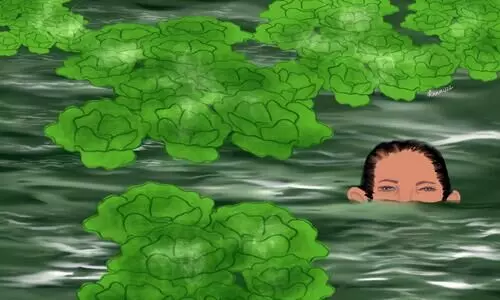 മുടിയറകൾ-10