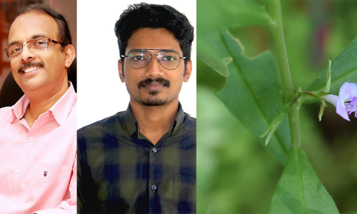 ഇടുക്കിയുടെ പേരില്‍ സസ്യവുമായി കാലിക്കറ്റിലെ ഗവേഷകര്‍