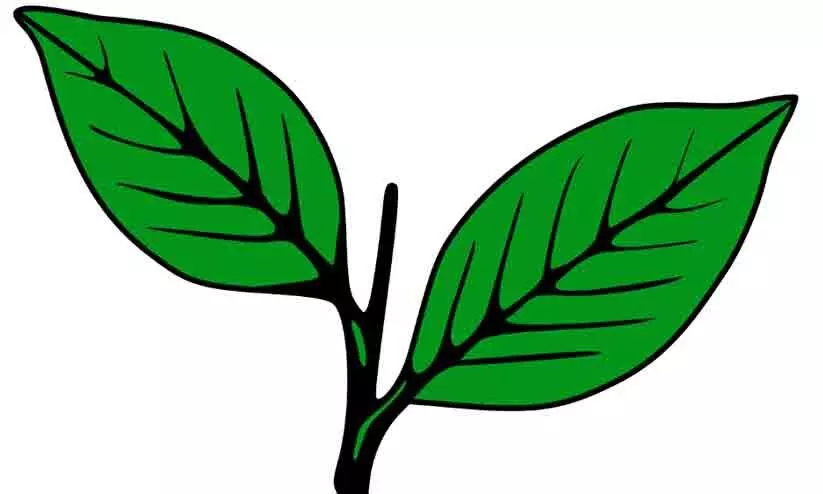 സംരക്ഷിത വനമേഖലകളുടെ കരുതൽ മേഖല: ഇടഞ്ഞ് മാണി ഗ്രൂപ്