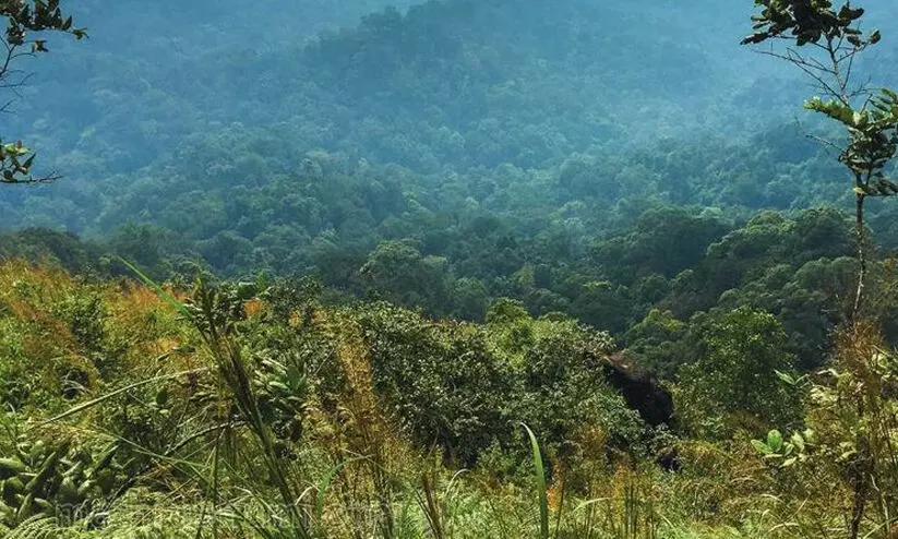 കരുതൽമേഖല; താമരശ്ശേരി രൂപത കെ.സി.ബി.സിയും കർഷകസമിതികളും സമരത്തിന്