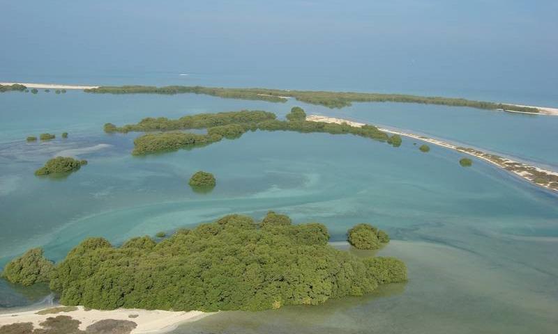 Abu Dhabi in UN Global Environment Programs Abu Dhabi in UN Global Environment Programs