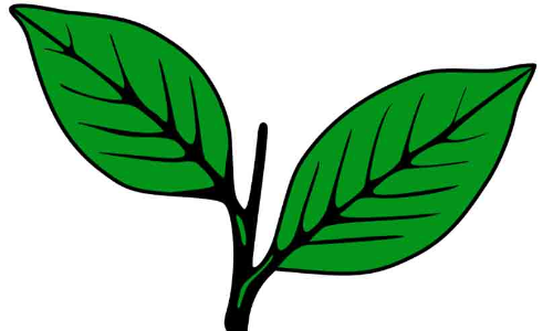 സംരക്ഷിത വനമേഖലകളുടെ കരുതൽ മേഖല: ഇടഞ്ഞ് മാണി ഗ്രൂപ്