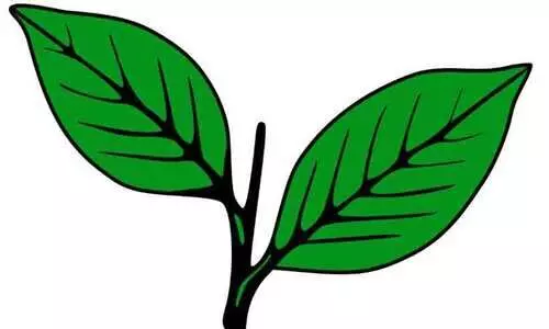 സംരക്ഷിത വനമേഖലകളുടെ കരുതൽ മേഖല: ഇടഞ്ഞ് മാണി ഗ്രൂപ്