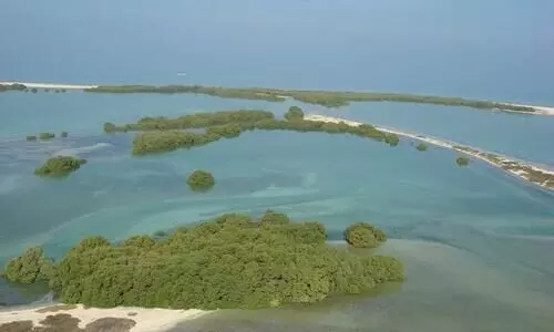 Abu Dhabi in UN Global Environment Programs