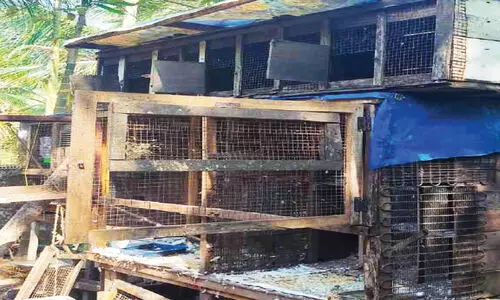 മന്ദലാംകുന്ന് മേഖലയിൽ മൂന്നിടത്ത് മോഷണം