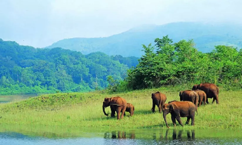 കരുതൽ മേഖല-ഉപഗ്രഹ മാപ്പ്