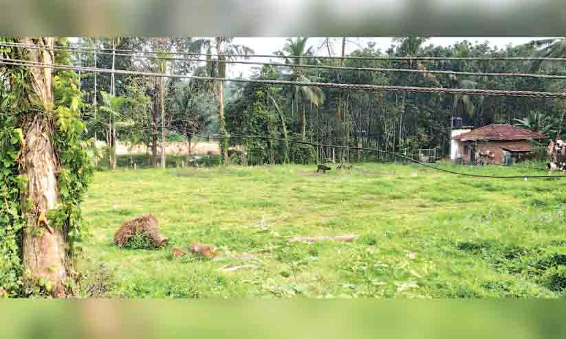 ലീഗിലെ ചേരിപ്പോര്: സഹകരണ ആശുപത്രി പദ്ധതി നീളുന്നു ലീഗിലെ ചേരിപ്പോര്: സഹകരണ ആശുപത്രി പദ്ധതി നീളുന്നു