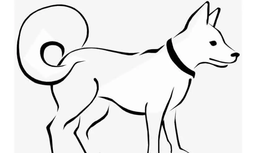 കുടിവെള്ള ടാങ്കിൽ നായെ കൊന്നിട്ടനിലയിൽ കുടിവെള്ള ടാങ്കിൽ നായെ കൊന്നിട്ടനിലയിൽ