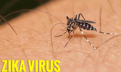 സിക വൈറസ്: മാർഗനിർദേശവുമായി ആരോഗ്യവകുപ്പ്