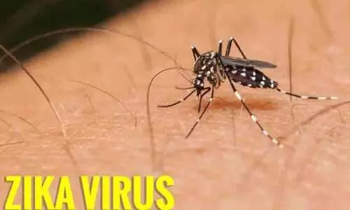 സിക വൈറസ്: മാർഗനിർദേശവുമായി ആരോഗ്യവകുപ്പ്