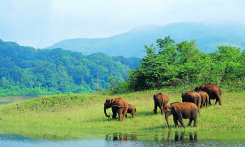കരുതൽ മേഖല-ഉപഗ്രഹ മാപ്പ്
