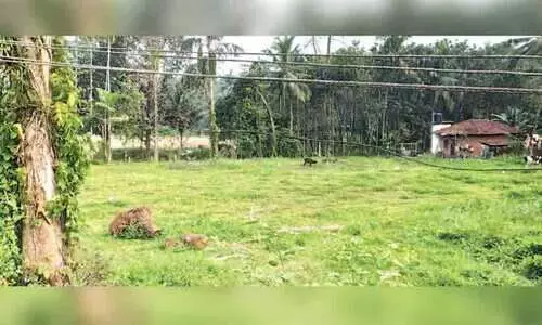 ലീഗിലെ ചേരിപ്പോര്: സഹകരണ ആശുപത്രി പദ്ധതി നീളുന്നു