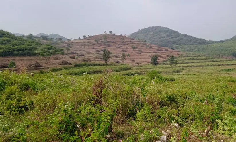 അട്ടപ്പാടിയിൽ ആദിവാസികളുടെ 1000 ത്തോളം ഏക്കർ ഭൂമി കൈയേറിയതായി പരാതി അട്ടപ്പാടിയിൽ ആദിവാസികളുടെ 1000 ത്തോളം ഏക്കർ ഭൂമി കൈയേറിയതായി പരാതി