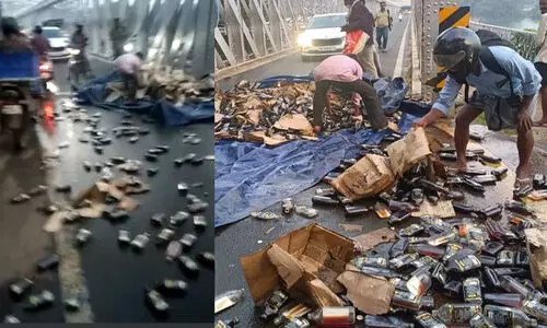 feroke bridge 09788976