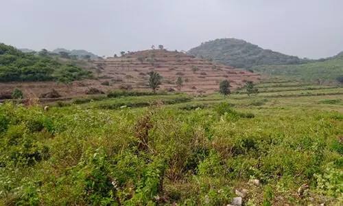 അട്ടപ്പാടിയിൽ ആദിവാസികളുടെ 1000 ത്തോളം ഏക്കർ ഭൂമി കൈയേറിയതായി പരാതി