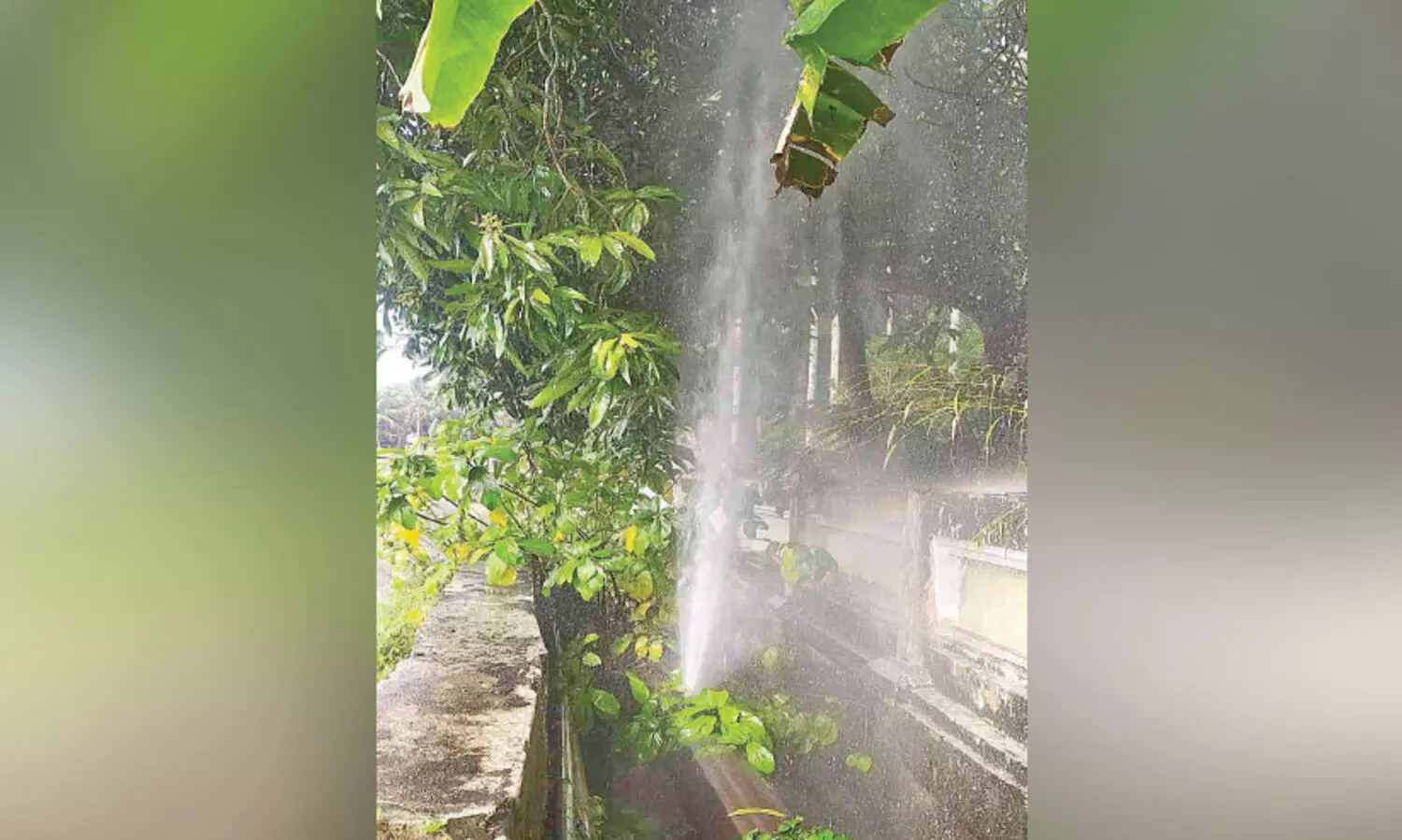 പൈ​പ്പ് പൊ​ട്ടി കു​ടി​വെ​ള്ളം പാ​ഴാ​കു​ന്നു; ക​ണ്ടി​ല്ലെ​ന്ന് ന​ടി​ച്ച് ഉ​ദ്യോ​ഗ​സ്ഥ​ർ