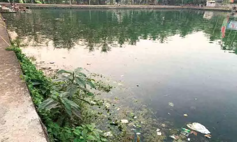 Garbage was thrown in the swimming pool