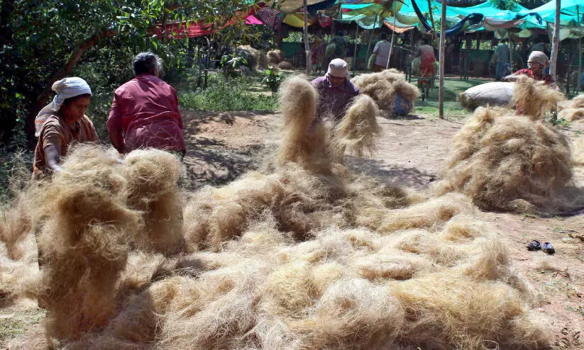 coir sector